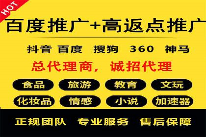 百度推广的投放策略与效果分析